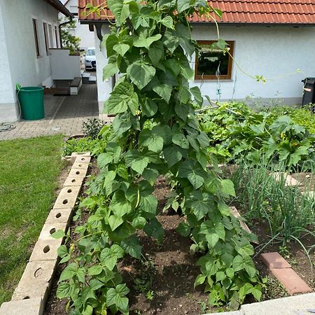Ferienwohnung Eibenweg Gebsattel Екстериор снимка